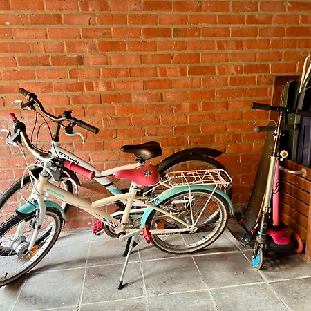 Gezellig Met Zeezicht